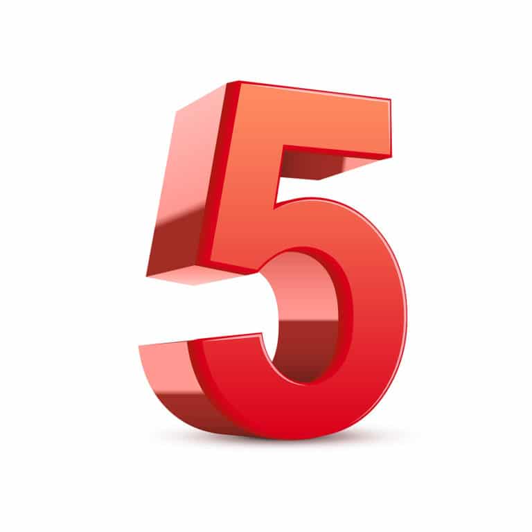 5 companion cases