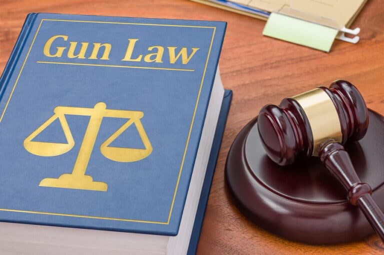 A gavel was kept beside a gun law book on a table