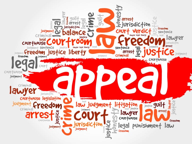 I Want to Appeal the Trial Court’s Order or Conviction or Sentence - Can I?