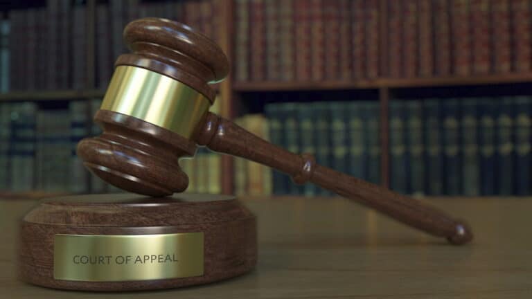 What Does It Mean to File An Appeal?